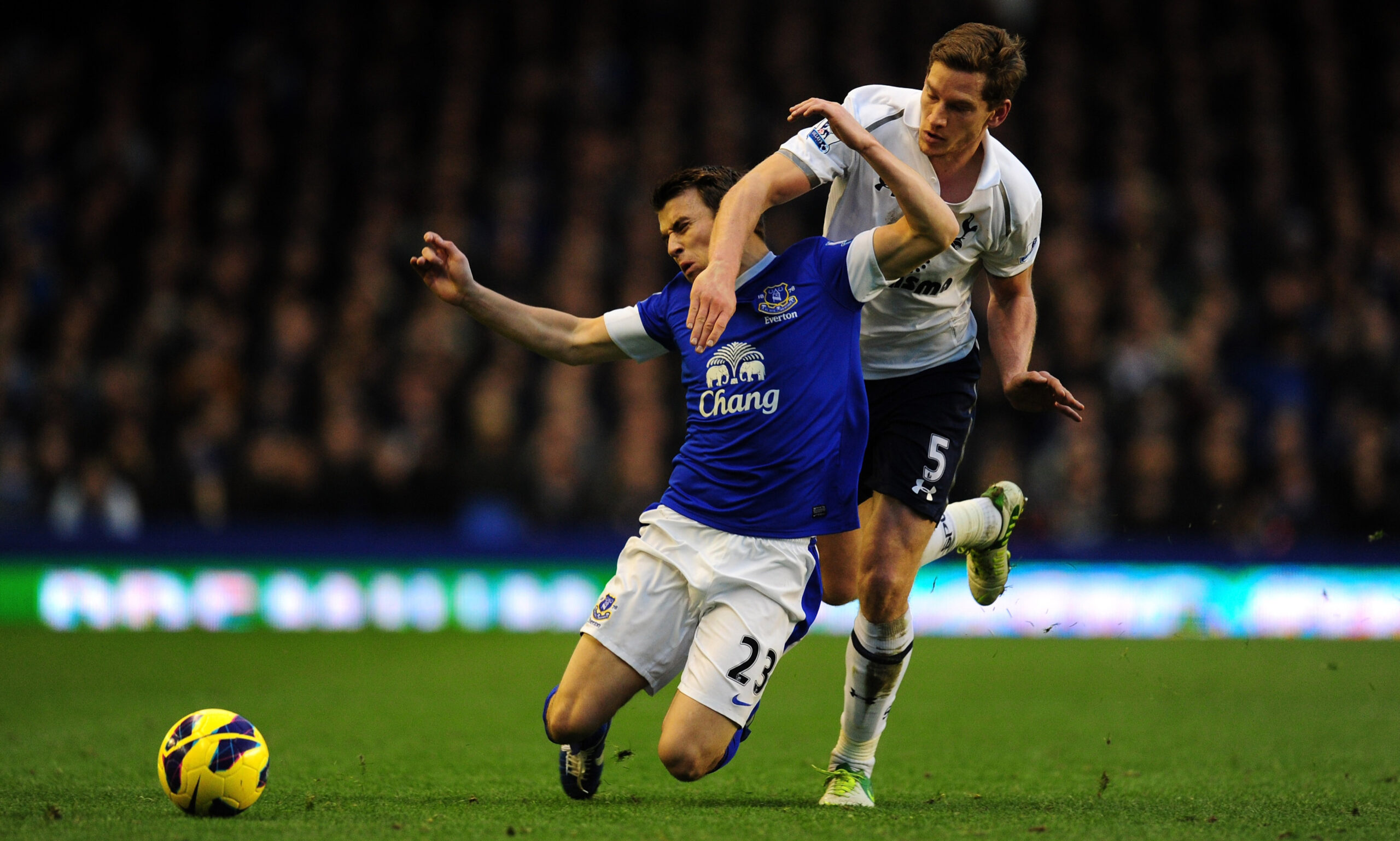 evertan-totnam Prognoza za evertan-totnam Betinum.com