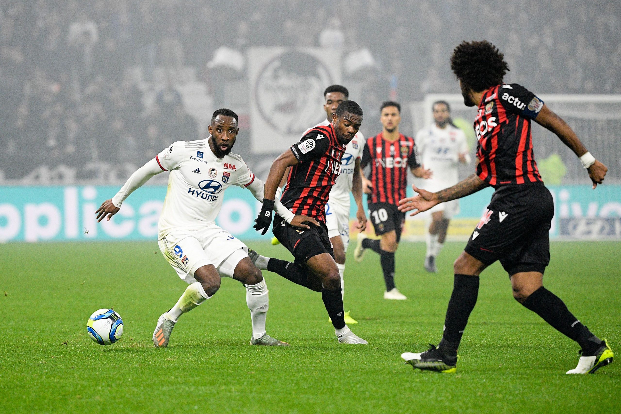 nistsa-lion Prognoza za nistsa-lion Betinum.com