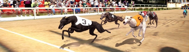 virtual-dog-race Virtual dog race