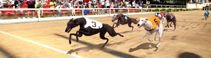 virtual_dog_race_betradar_800x220
