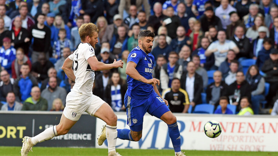 Kardif-Fulam Cardiff - Fulham