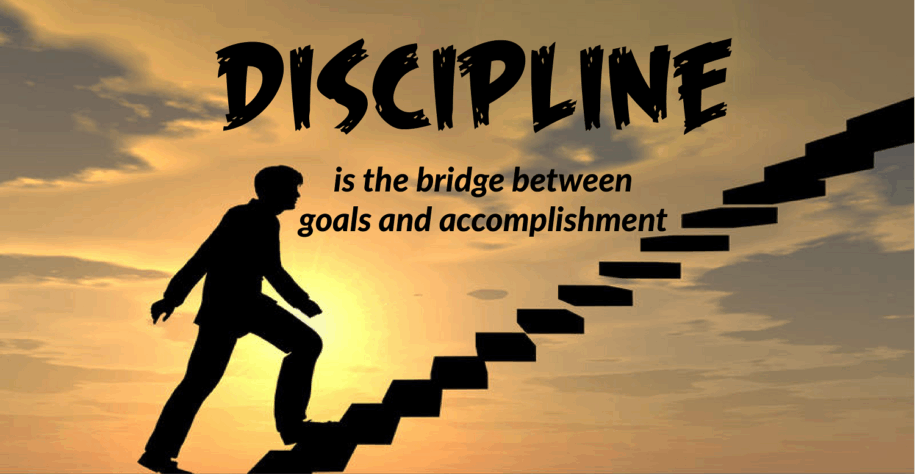disciplined betinum Discipline
