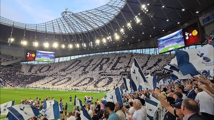 tottenham-fans
